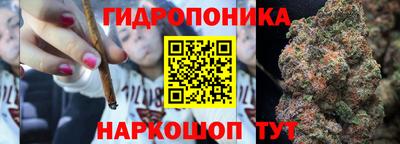PSILOCYBIN Ирбит