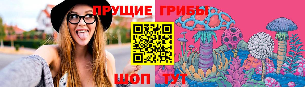Галлюциногенные грибы GOLDEN TEACHER Михайловск